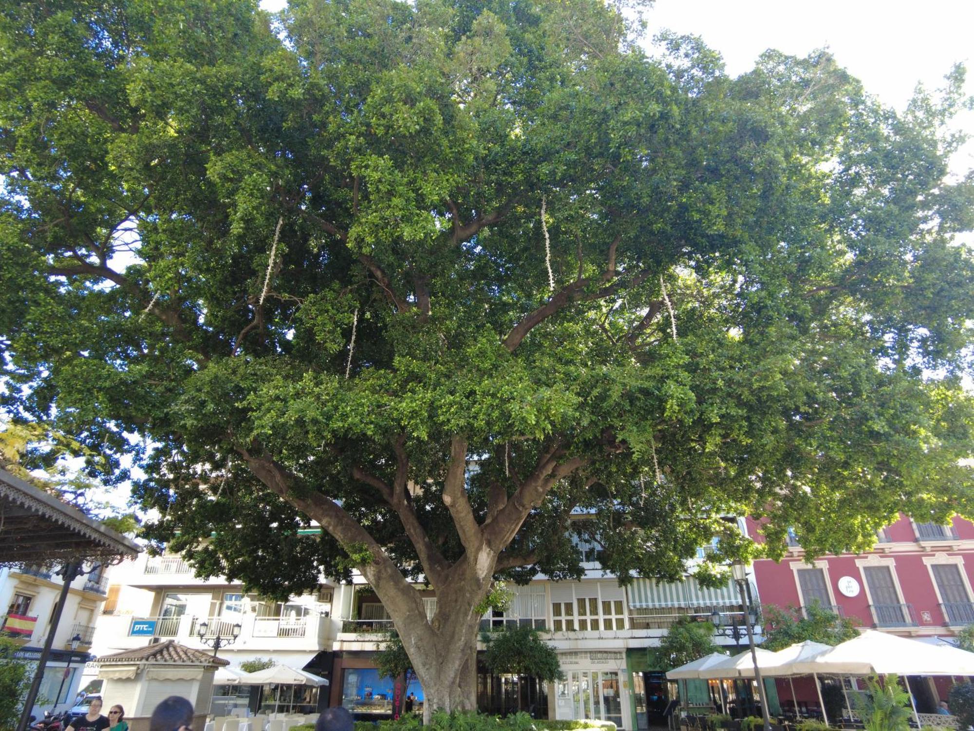 Fuengirola Center Sweet&Beach Ngoại thất bức ảnh